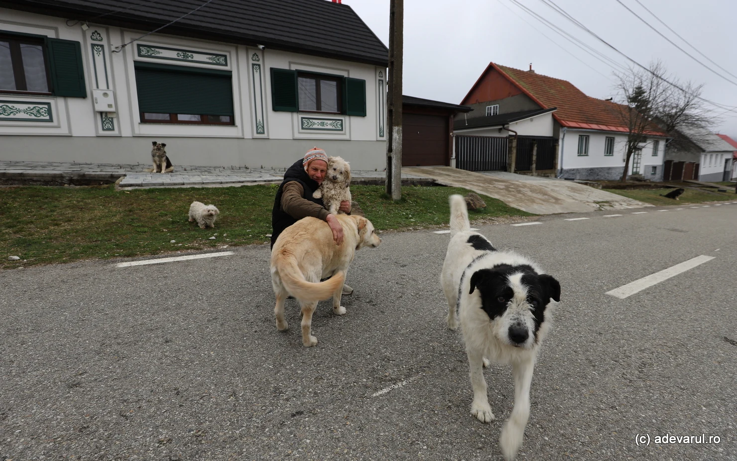 Satele uitate ale boemilor din creierii munților: „Mulți și-au vândut casele pe nimic după Revoluție și au plecat în Germania”