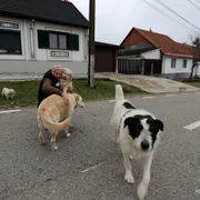 Garana  Foto Daniel Guță ADEVĂRUL (6) JPG