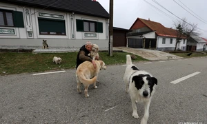 Garana  Foto Daniel Guță ADEVĂRUL (6) JPG