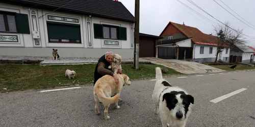 Garana  Foto Daniel Guță ADEVĂRUL (6) JPG