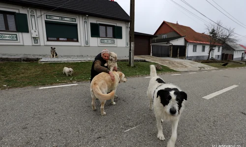 Garana  Foto Daniel Guță ADEVĂRUL (6) JPG