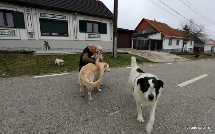 Titi, omul care are în grijă câinii din Gărâna. Foto: Daniel Guță. ADEVĂRUL