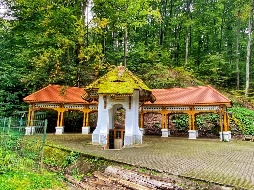 Pavilionul, înainte şi după prăbuşirea copacului