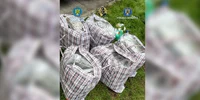 canabis vama 02 foto Poliţia Română jpg