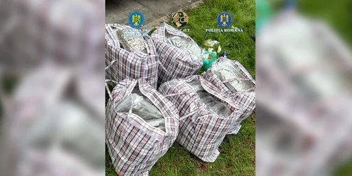canabis vama 02 foto Poliţia Română jpg