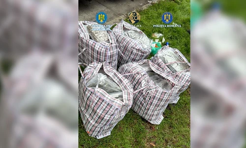canabis vama 02 foto Poliţia Română jpg