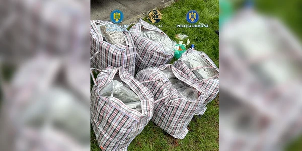 canabis vama 02 foto Poliţia Română jpg