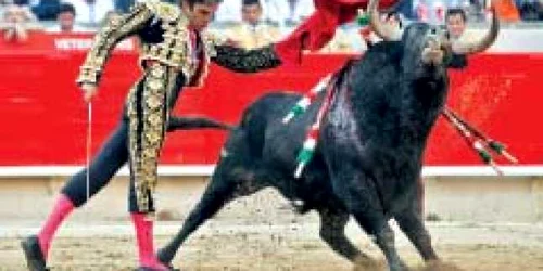 Spaniolii preferă corida decât să meargă la muncă