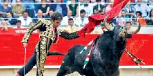 Spaniolii preferă corida decât să meargă la muncă
