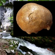 Pestera Cioclovina din Hunedoara si craniul descoperit aici  Foto Daniel guță jpg