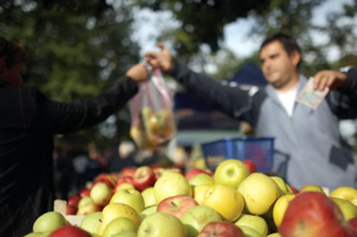 Timişoara: Produsele bănăţene sunt sufocate de importuri