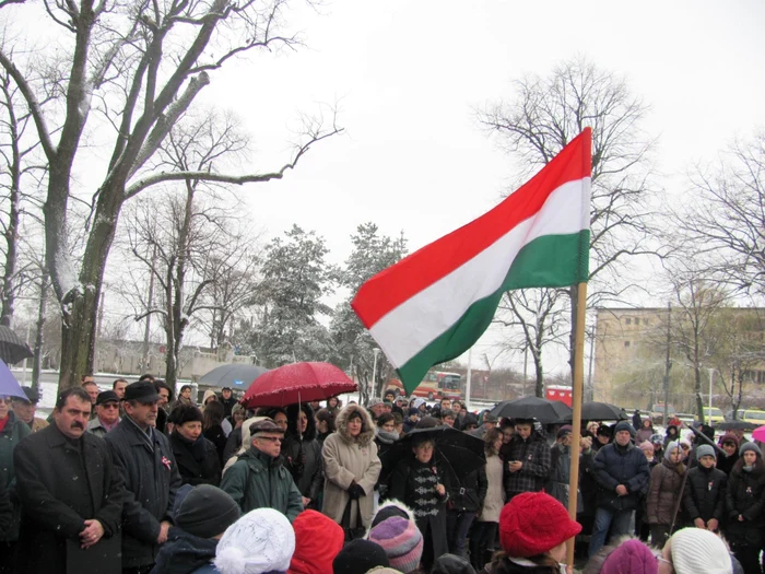 Steagul statului ungar  FOTO: arhiva Adevărul