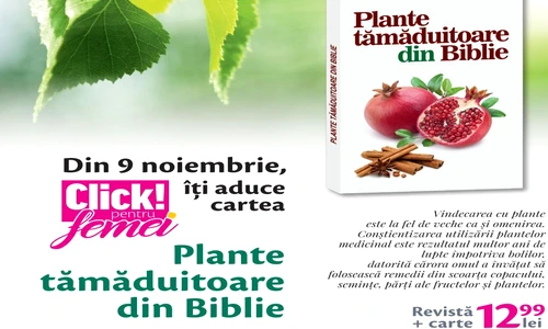 1 84018 original jpg jpeg