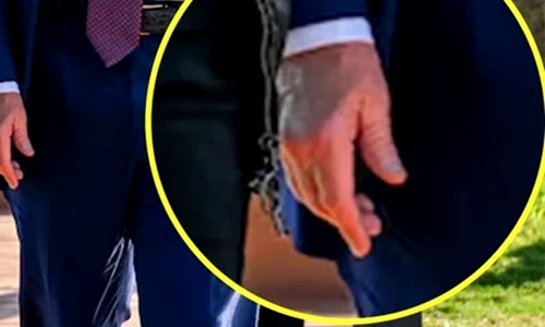 trump1 jpeg