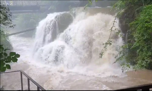 Muşchiul mereu verde care acoperă cascada ar putea fi distrus de apele învolburate jpeg