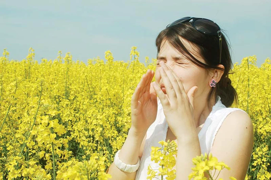 
    Evită plimbările în natură la prânz, când concentraţia polenurilor este mai mare. După ploaie, cantitatea de polen este mai mică.  