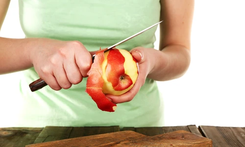 coji de mar shutterstock 241926172 jpg