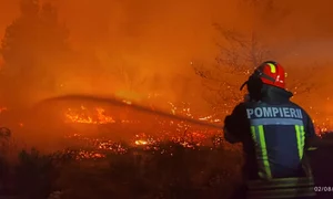 Pompierii români au luptat toată noaptea cu incendiile din Grecia. FOTO: IGSU