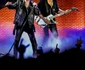 Scorpions 8