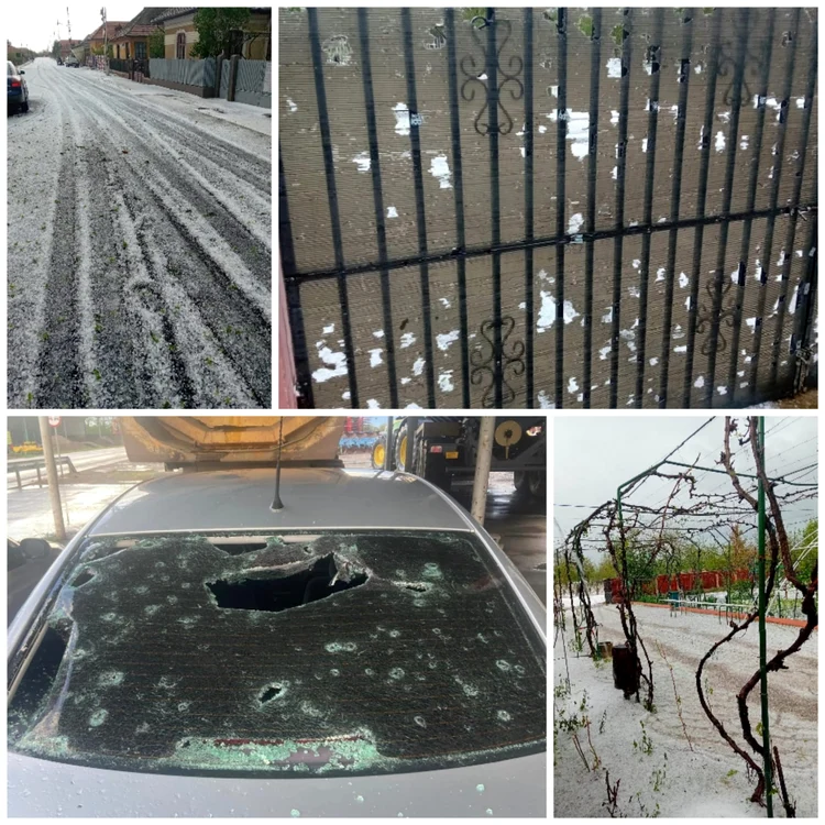 În câteva minute totul s-a acoperit cu gheață. Pagubele sunt însemnate FOTO: colaj foto localnici