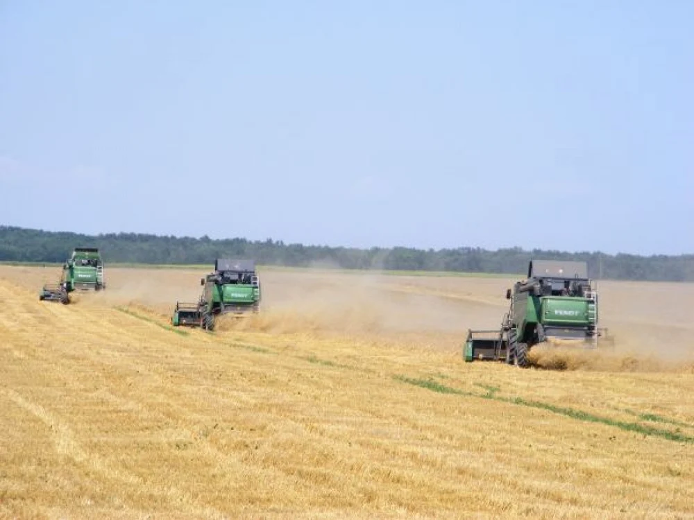 Egiptul a cumpărat în acest sezon o cantitate de peste 1,20 milioane tone de grâu din România