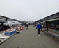 Expo în piața de vechituri din Novi Sad FOTO Ștefan Both