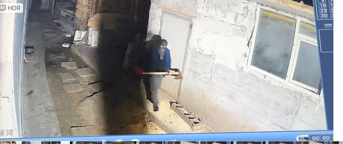 Un hoț a lovit cu toporul un câine FOTO: Captura video