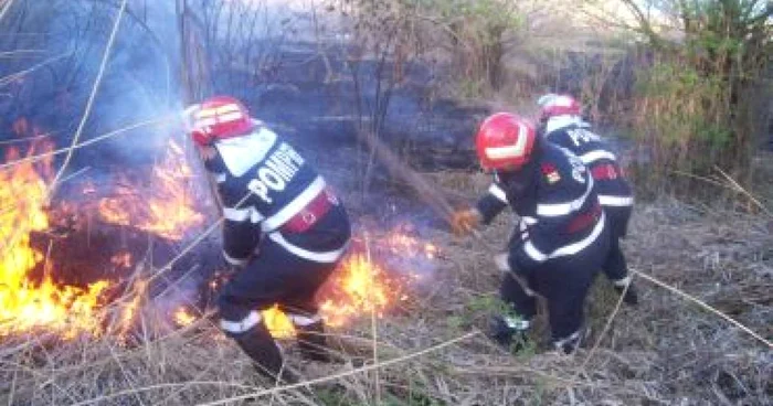 Slatina: Miriştile din Olt, în flăcări