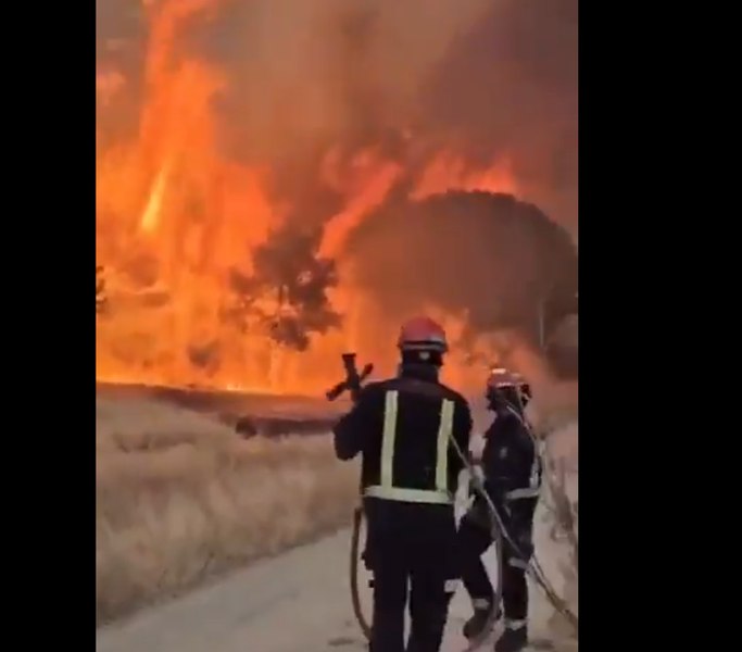 Europe Wildfires: Three Firefighters Die in Greece as Blazes Rage Across Continent