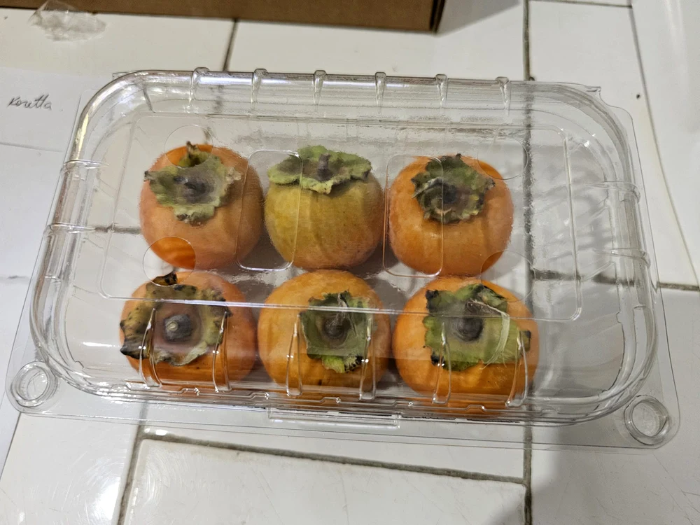 șase_fructe_de_kaki_in_caserola