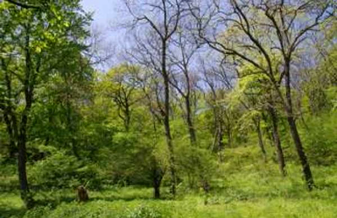 Vârful Secaru - Babadag, Tulcea, Dobrogea Sursa cniptbabadag.ro
