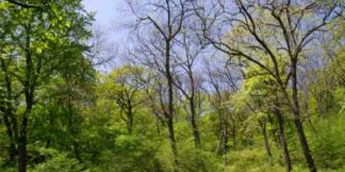 Vârful Secaru Tulcea Dobrogea Sursa cniptbabadag.ro