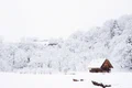 prognoza meteo 8 ianuarie jpg