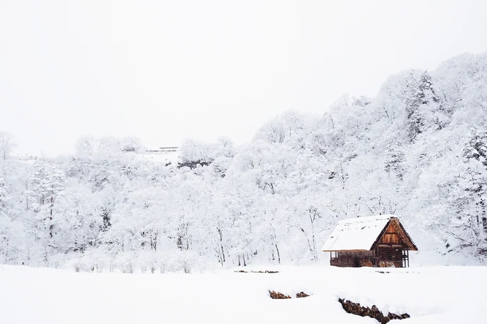 Ninge în mare parte din țară Foto: Unsplash