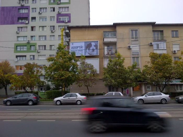 Panou apărut în zona bulevardului Ion Mihalache din Capitală. FOTO Adevărul