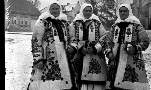 Salvgardarea patrimoniului imagistic al Muzeului Etnografic al Transilvaniei  Conservarea şi digitizarea negativelor pe sticlă png