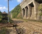 Calea ferată din Defileul Jiului  Foto Daniel Guță ADEVĂRUL (5) jpg