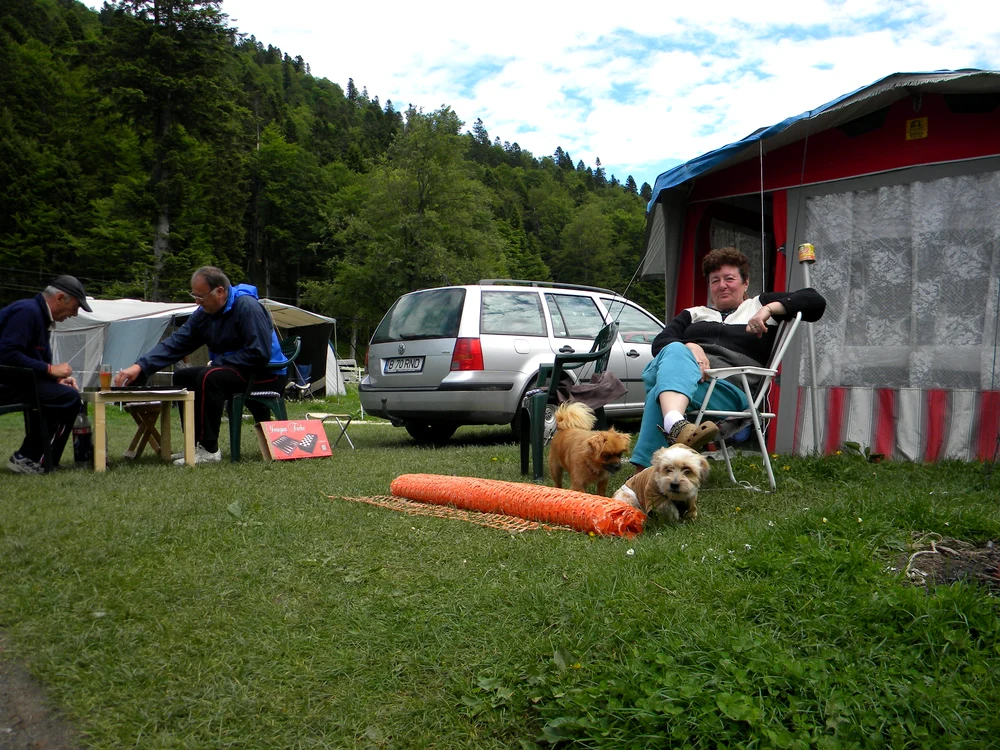 Valea Cerbulu, cel mai mare loc de campare din Prahova, un adevărat orăşel pe timpul verii. FOTO Adevărul Ploieşti