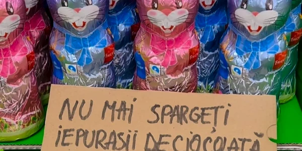 Iepurii de ciocolată, victimele unui trend de pe TikTok   Foto Instagram Lidl jpeg