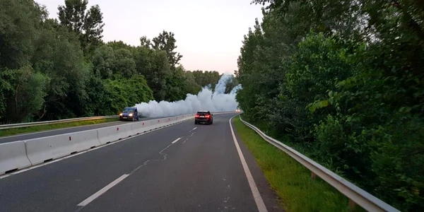 calarasi dezinsectie pe malul borcei foto faceb/PMC