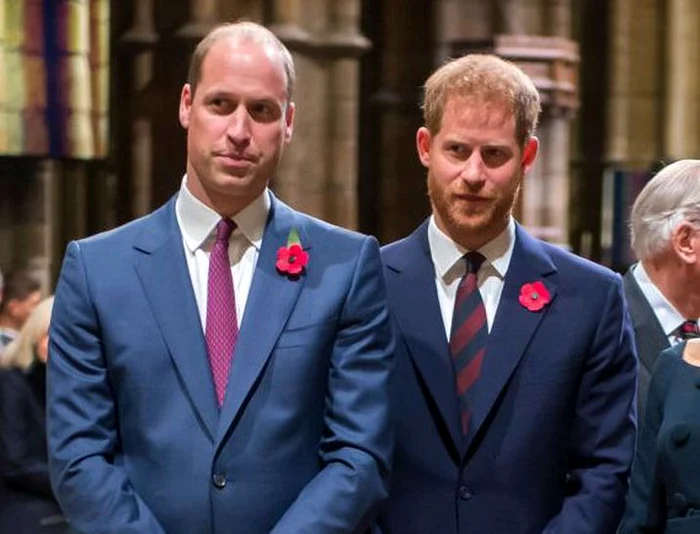 
    Prinţul William şi Prinţul Harry  