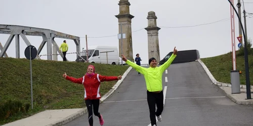 dan mihai petre - salvator olt