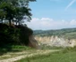 Seciurile