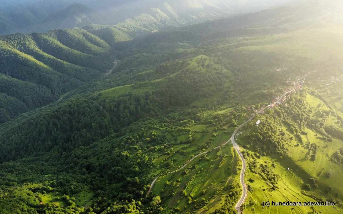 Pădurile domină panorama satelor din Munții Poiana Ruscă. Foto: Daniel Guță. ADEVĂRUL