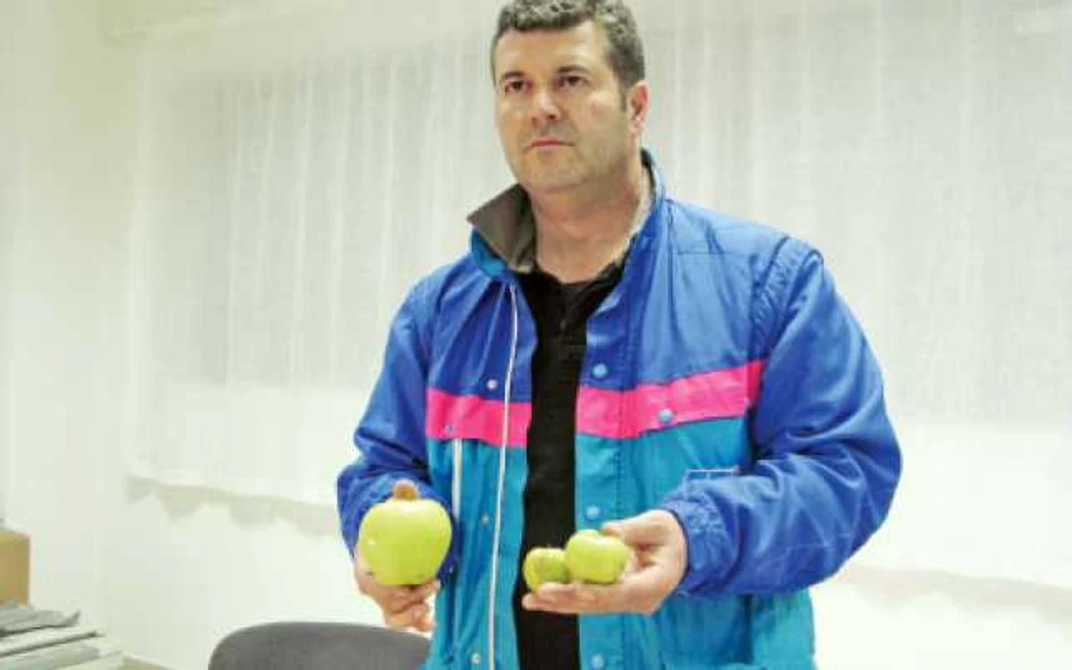 Roberto Treviziol, patronul fermei „Paradisul Înflorit“, compară un măr bun cu cele distribuite în şcoli