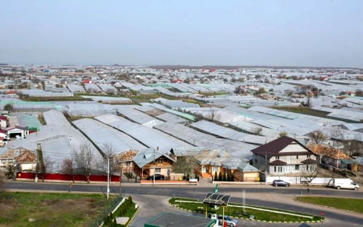 
    În localitatea Matca din judeţul Galaţi, hectarul de teren agricol a ajuns să coste şi peste 30.000 de euro  foto: Costel Crângan/adevarul.ro  