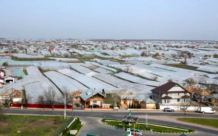 În localitatea Matca din judeţul Galaţi, hectarul de teren agricol a ajuns să coste şi peste 30.000 de euro foto: Costel Crângan/adevarul.ro