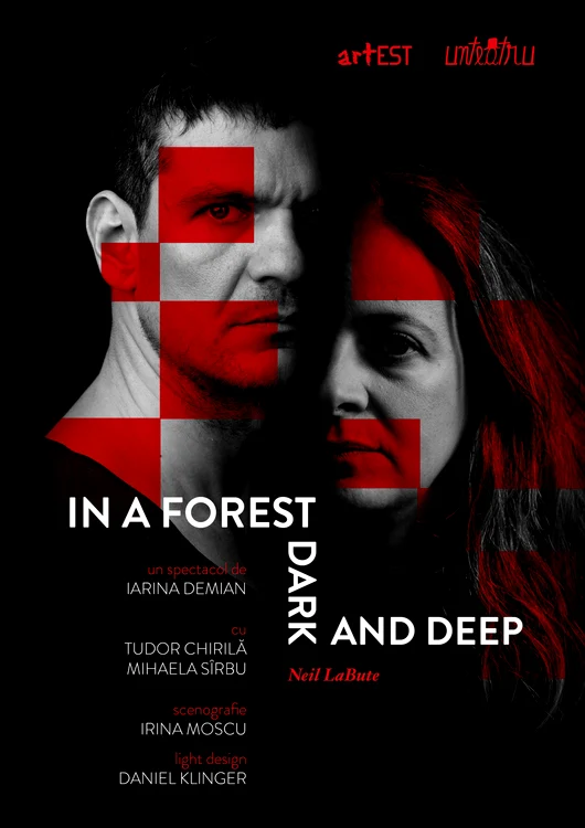 Afișul celui mai recent spectacol în care joacă Tudor Chirilă