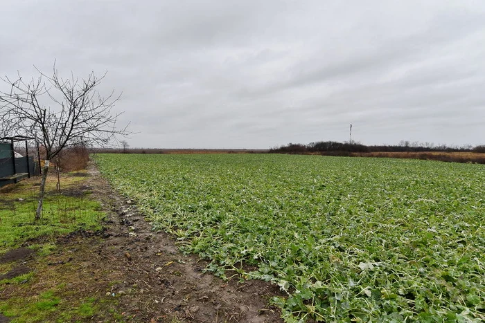 FOTO: Ebihoreanul.ro