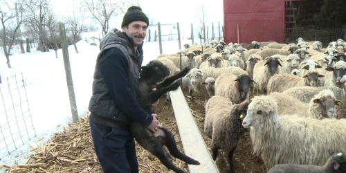 Ciobanii sunt în pas cu moda în Dâmboviţa